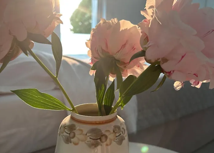 Dom بيت للعطل *